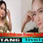 Inul Daratista: Dari Pedesaan Hingga Puncak Kesuksesan